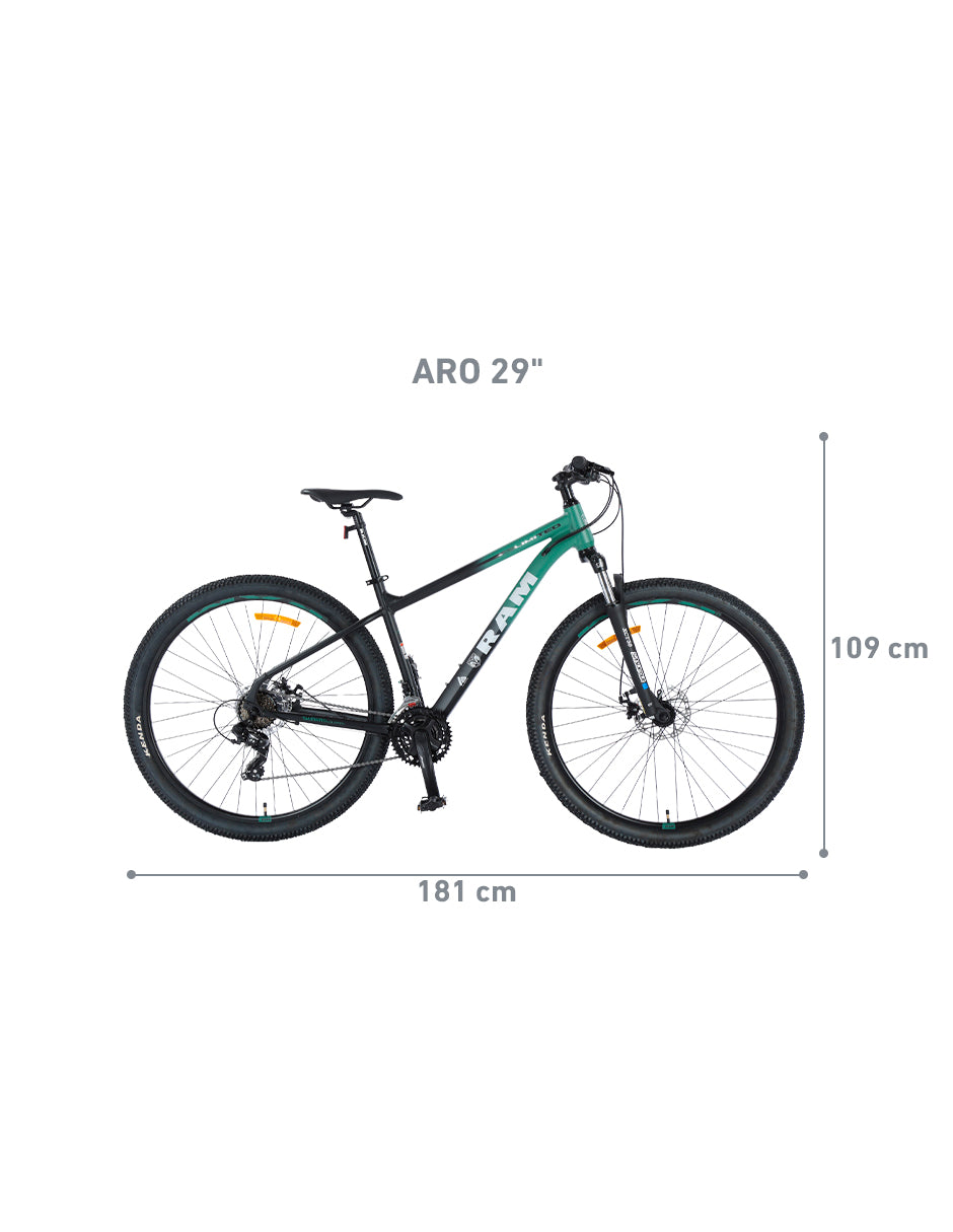 Bicicleta de Montaña Limited | R 29