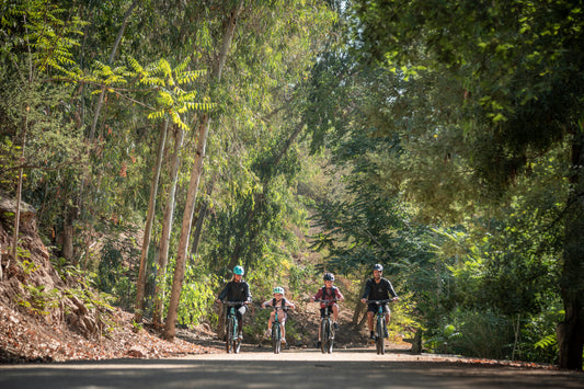 Pedalea en Familia: Descubre 4 Lugares para Rodar en Ciudad de México