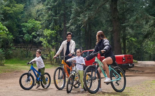 Cómo elegir la bicicleta ideal