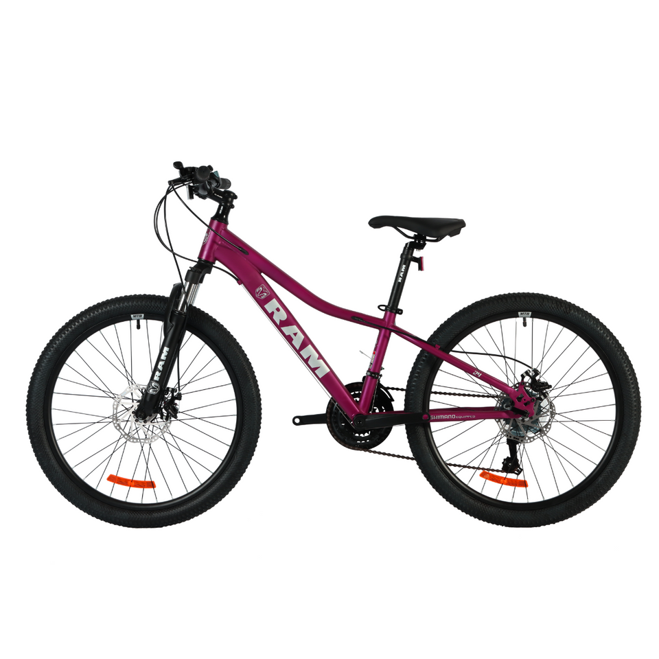 Bicicleta Kids Rebel | R24, Purpura