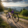 Bicicleta de Montaña R26 City R26, Lila