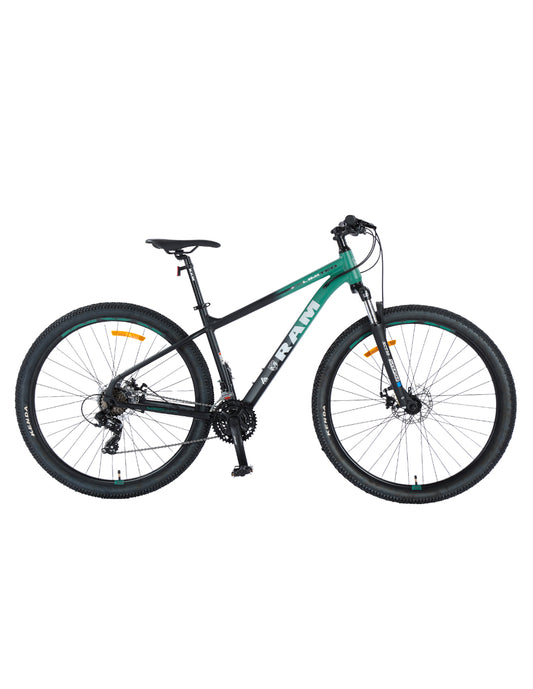 Bicicleta de Montaña Limited | R 29